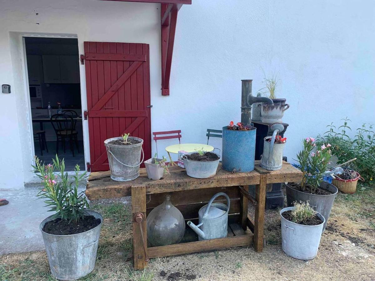 Le Depot Appartement Du Port A Champvert Kültér fotó